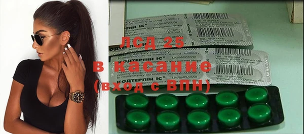 сатива Надым