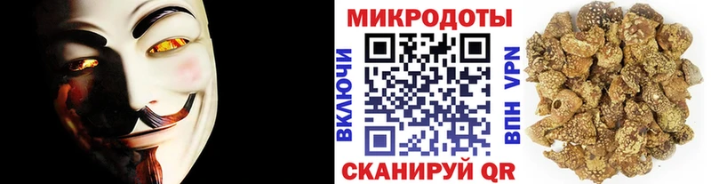 Купить Магнитогорск Псилоцибиновые грибы Psilocybine cubensis